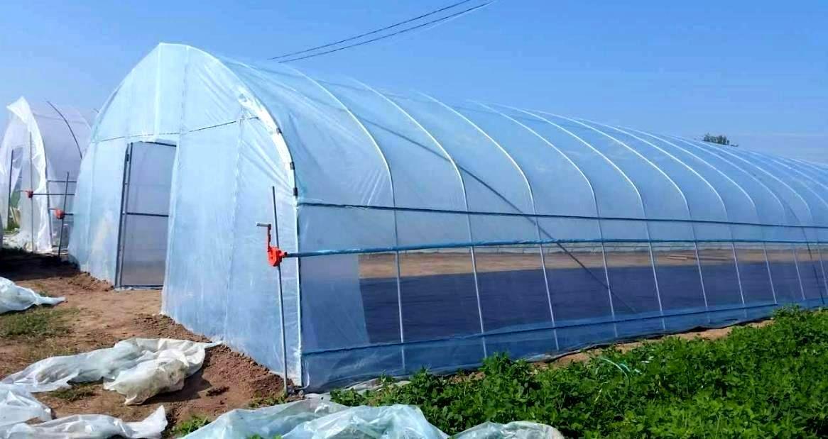 如何维护薄膜蔬菜温室大棚的薄膜
